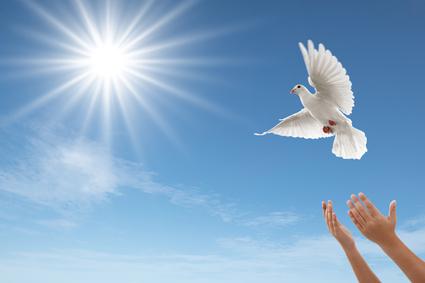 21 вересня – Міжнародний день миру